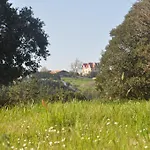 Apikale * Ea