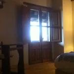 Apikale *