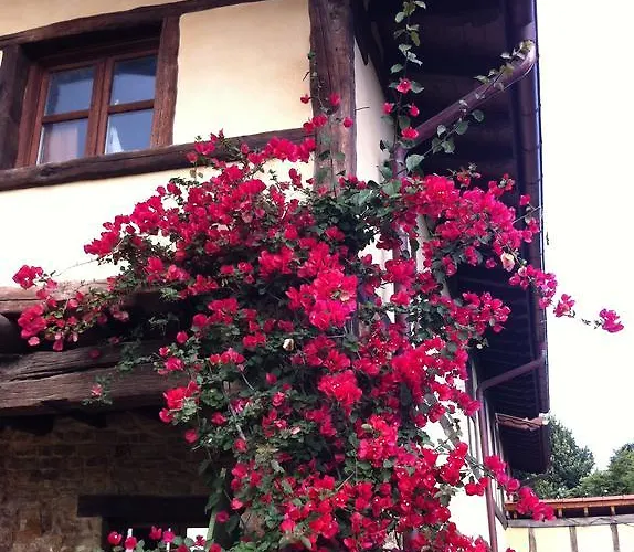 Летний дом Apikale