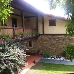 Apikale