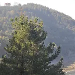 Apikale *