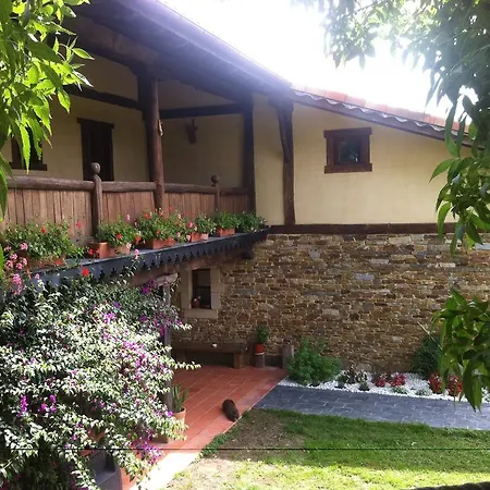 Apikale